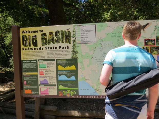 Honeymoon: Big Basin State Park